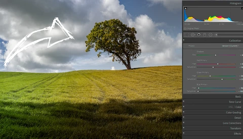 Screenshot of Lightroom's Calibration panel showing histogram and editing controls overlaid on a landscape with a solitary tree and arrow graphic in the sky.