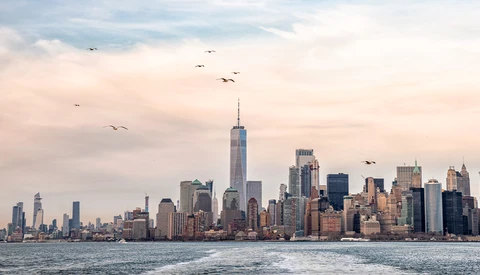 Manhattan skyline at dusk with One World Trade Center prominent, viewed across the water with birds in flight.