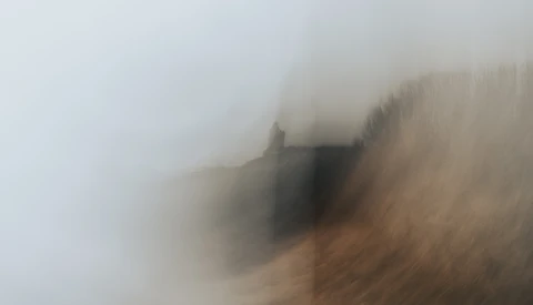 Misty mountainside with coniferous forest obscured by heavy fog and low clouds.