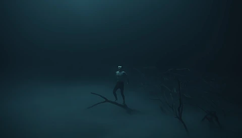 Underwater scene with freediver in wetsuit swimming above silhouetted branches on dark seabed.