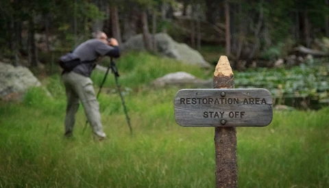 Photographer with tripod-mounted telephoto lens in a meadow behind a wooden restoration area sign.