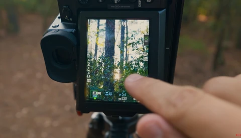 Filmmaker's hand holding a mirrorless camera displaying a forest path on the LCD screen during handheld shooting.