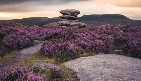 Balanced rock formation rising above blooming heather moorland at sunset.