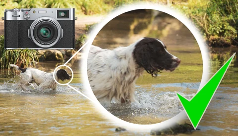Infographic showing a vintage rangefinder camera, a dog in water, and a green checkmark, illustrating camera capabilities.