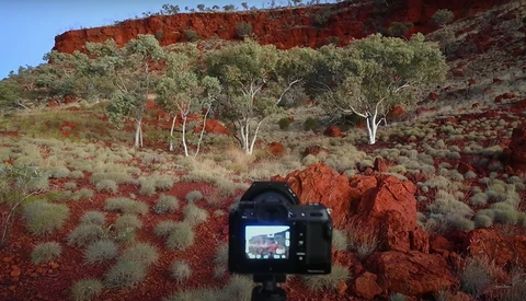 Camera on tripod capturing a desert landscape with red rock formations and eucalyptus trees.