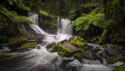 Cascading waterfall flowing through a moss-covered forest with boulders and lush green vegetation.