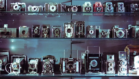 Vintage film cameras arranged on three glass shelves, displaying various folding and rangefinder models from different eras.