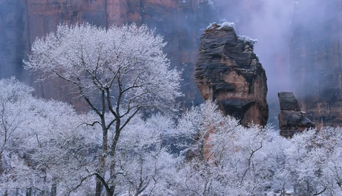 Frost-covered trees and rocky outcrops in misty winter landscape with layered mountain formations.