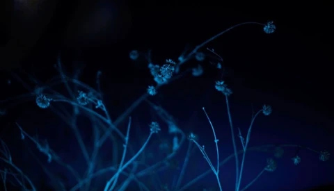 Illustration of luminescent branching particles and network nodes against a dark blue background.