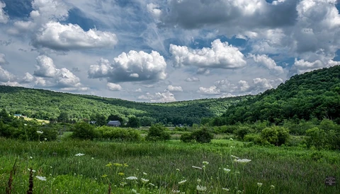 Rolling green hills with forested slopes frame a pastoral valley dotted with white wildflowers under a dramatic cloudy sky.