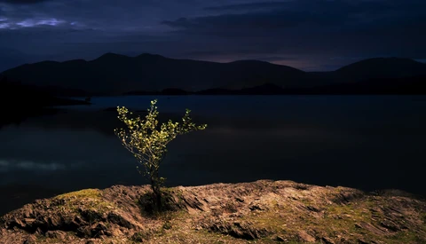 Illuminated tree standing alone on rocky terrain beside a dark lake at dusk, mountains silhouetted against twilight sky.