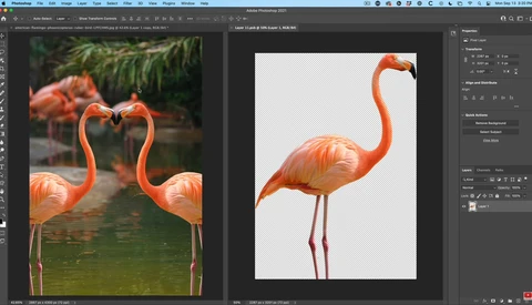 Two flamingos with curved necks forming a heart shape in shallow water with blurred green foliage.