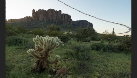 Desert landscape with cholla cactus in foreground and dramatic rocky butte in background under clear sky.