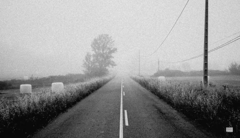 Straight rural road with white center line stretching into fog, flanked by harvested fields and utility poles.