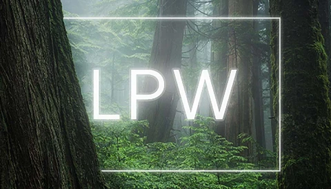 Misty forest with tall trees and dense undergrowth, overlaid with white rectangular frame containing the text 'LPW'.