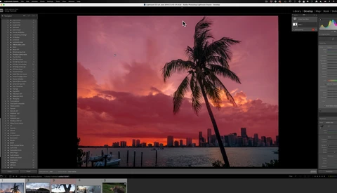 Palm tree silhouette against vibrant magenta and orange sunset sky with city skyline reflected in water.
