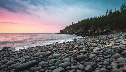 Rocky coastline at sunset with evergreen forest and calm ocean waters reflecting pink sky.