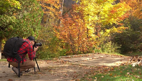 Photographer crouching with camera and tripod on a tree-lined path during autumn.