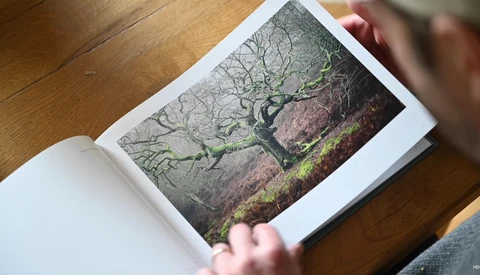 Printed photograph of a gnarled tree in a woodland landscape, displayed in an open book on a wooden surface.