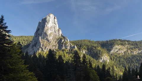 Dramatic limestone pinnacle rising above dense coniferous forest under clear blue sky.