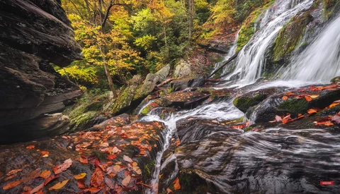 Cascading waterfall flowing over moss-covered rocks strewn with autumn leaves in a forested ravine.