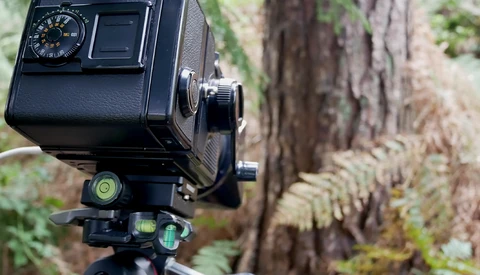 Medium format camera mounted on tripod with spirit levels visible, positioned in front of weathered tree bark in forest setting.