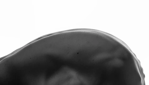 Close-up of a curved, glossy black surface with soft highlights and subtle reflections against a white background.