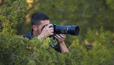 Photographer holding telephoto lens while partially concealed in green foliage, composing a shot.