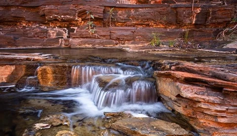Cascading waterfall flowing over layered rock formations surrounded by fallen logs.