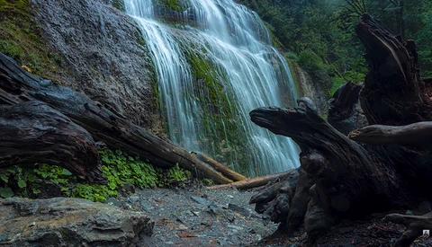 Cascading waterfall flowing over moss-covered rock face with fallen logs in foreground and dense forest backdrop.