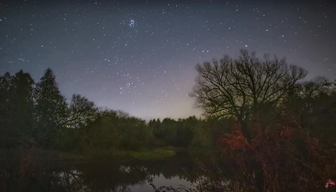 Starry night sky above a still pond surrounded by bare and evergreen trees.
