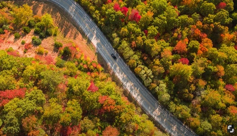 Aerial view of a curved road cutting through autumn forest with vibrant red, orange, and yellow foliage.