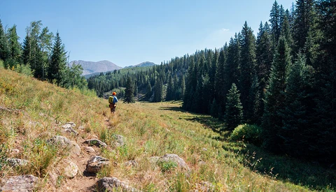 Hiker with backpack descending a grassy slope toward a forested valley surrounded by coniferous trees.