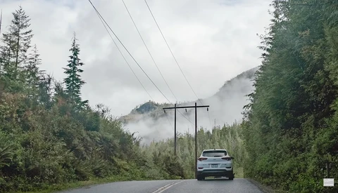 Car driving toward camera on a misty forest road lined with evergreen trees and utility poles.