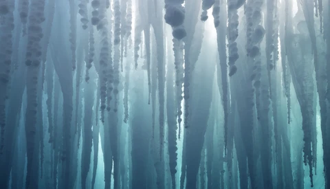 Frozen icicles hanging vertically from above, creating a dense pattern of ice formations backlit by soft, diffused light.