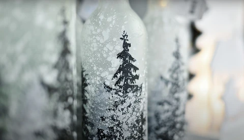 Frost-covered evergreen tree silhouettes with selective focus on foreground branch detail.