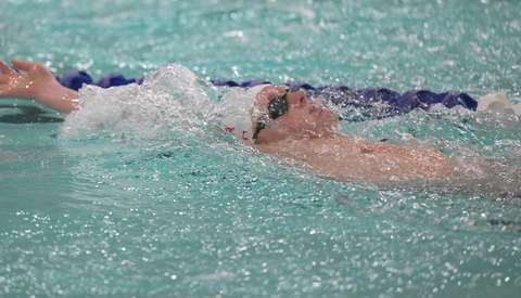 Competitive swimmers performing freestyle strokes during a race in a pool with turquoise water.