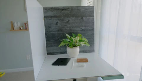 Minimalist desk setup with potted plant, smartphone, and wooden accessories against dark wood backdrop.