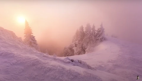 Snow-covered evergreen trees in mountainous terrain at sunrise, with golden light breaking through mist.