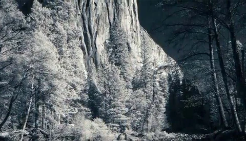 Towering granite cliff face rises above a dense coniferous forest with dramatic vertical striations.