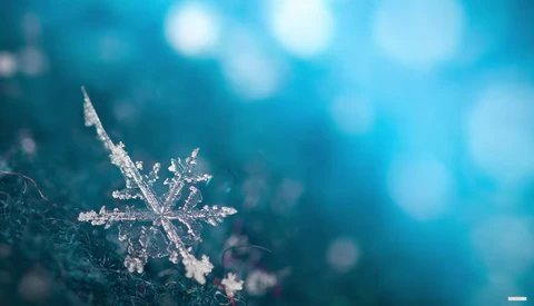 Intricately detailed ice crystal with geometric branching patterns against a blue bokeh background.