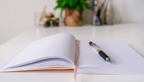 Open notebook with blank pages and a pen resting on the right side, photographed from above with potted plants blurred in the background.