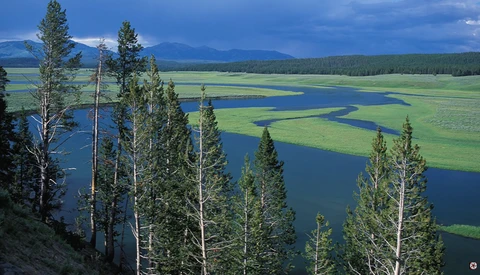 Meandering river winding through alpine meadow surrounded by coniferous forest and distant mountains.