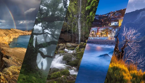 Composite photograph featuring four distinct landscape scenes: golden cliffs with rainbow, misty forest waterfall, illuminated lakeside temple at dusk, and moody mountain valley with bare tree.