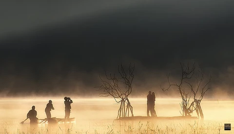 Silhouetted figures standing in dusty haze among bare trees and vegetation.