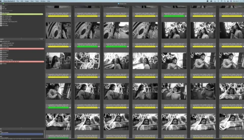 Screenshot of a photo management interface displaying a grid of black and white contact sheets with color-coded labels and metadata.