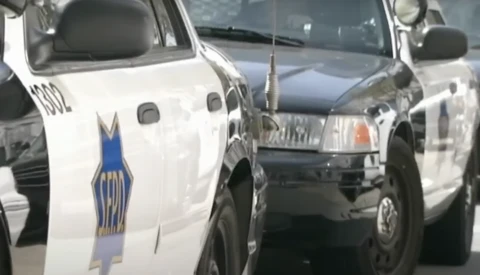 White police vehicles parked in a row at what appears to be a station or lot.