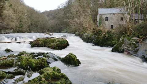 Fast-flowing river with moss-covered rocks and a stone mill building on the right bank surrounded by bare trees.