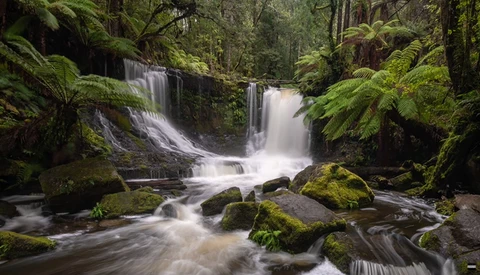 Cascading waterfall flowing over moss-covered rocks in a lush temperate forest.