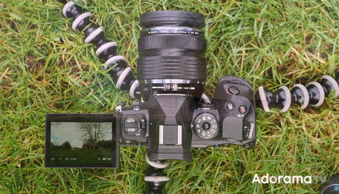 Camera gear laid out on grass including a DSLR body, telephoto lens, external flash, and various lens attachments.